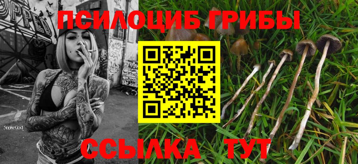 Новодвинск  Псилоцибиновые грибы ЛСД  Вход с VPN 