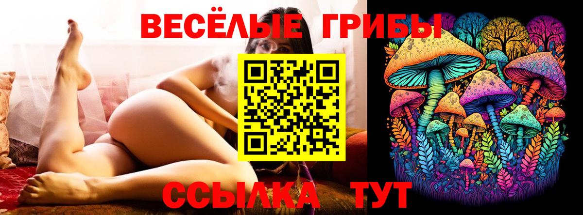 Псилоцибиновые грибы мицелий Новодвинск